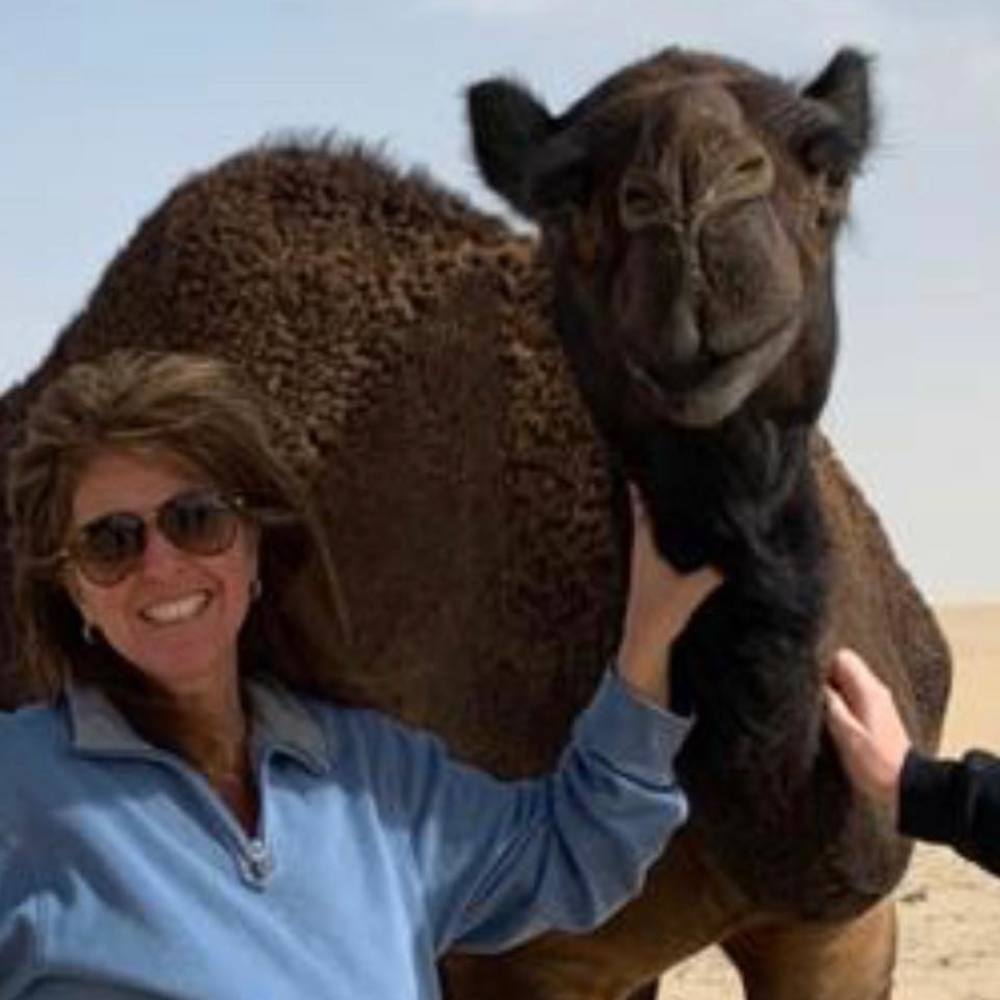Meet your Posher, Sue